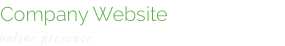 Company Website online presence